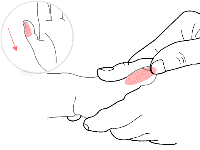 补脾经.gif
