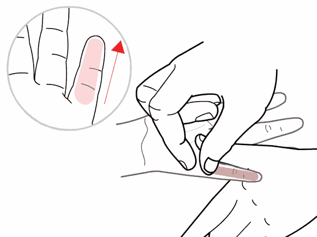 补肾经.gif