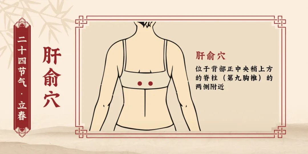 肝俞穴.jpg