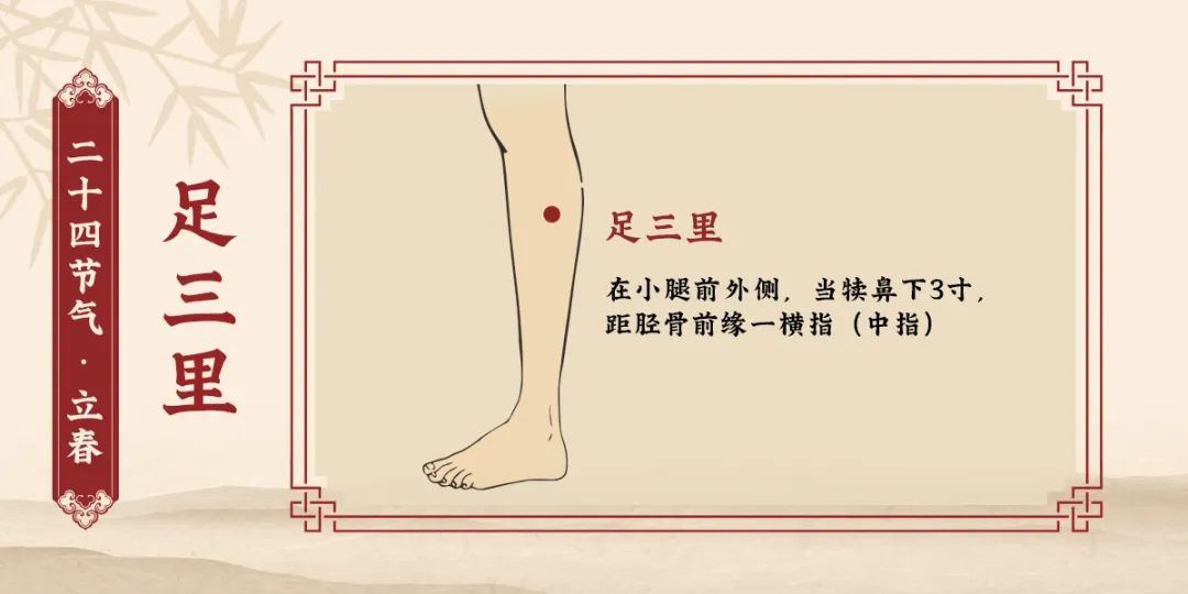 足三里.jpg