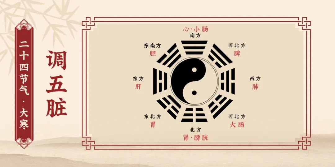 调五脏.jpg
