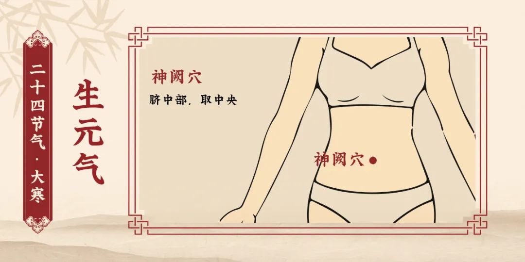 生元气.jpg
