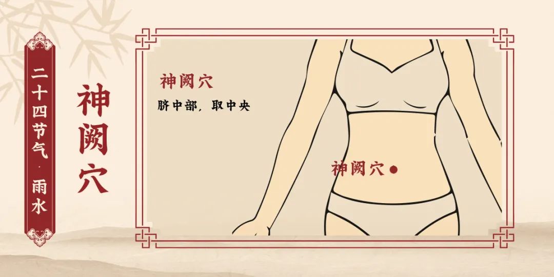 神阙穴.jpg