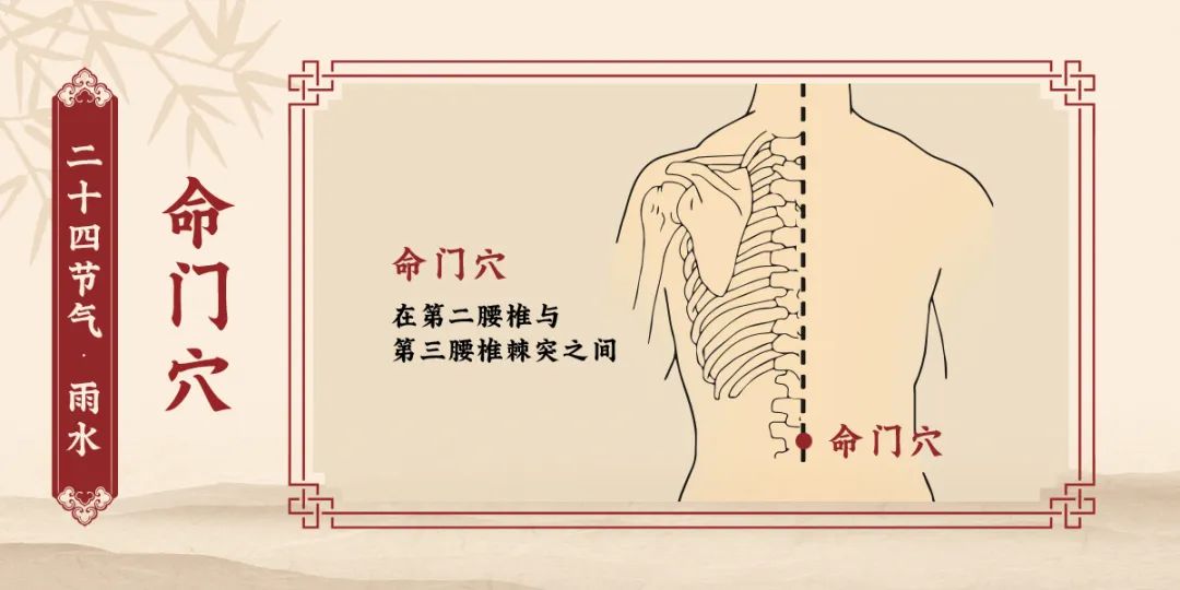 命门穴.jpg